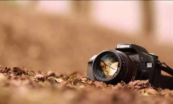 Videographer and Photographer in Aligarh